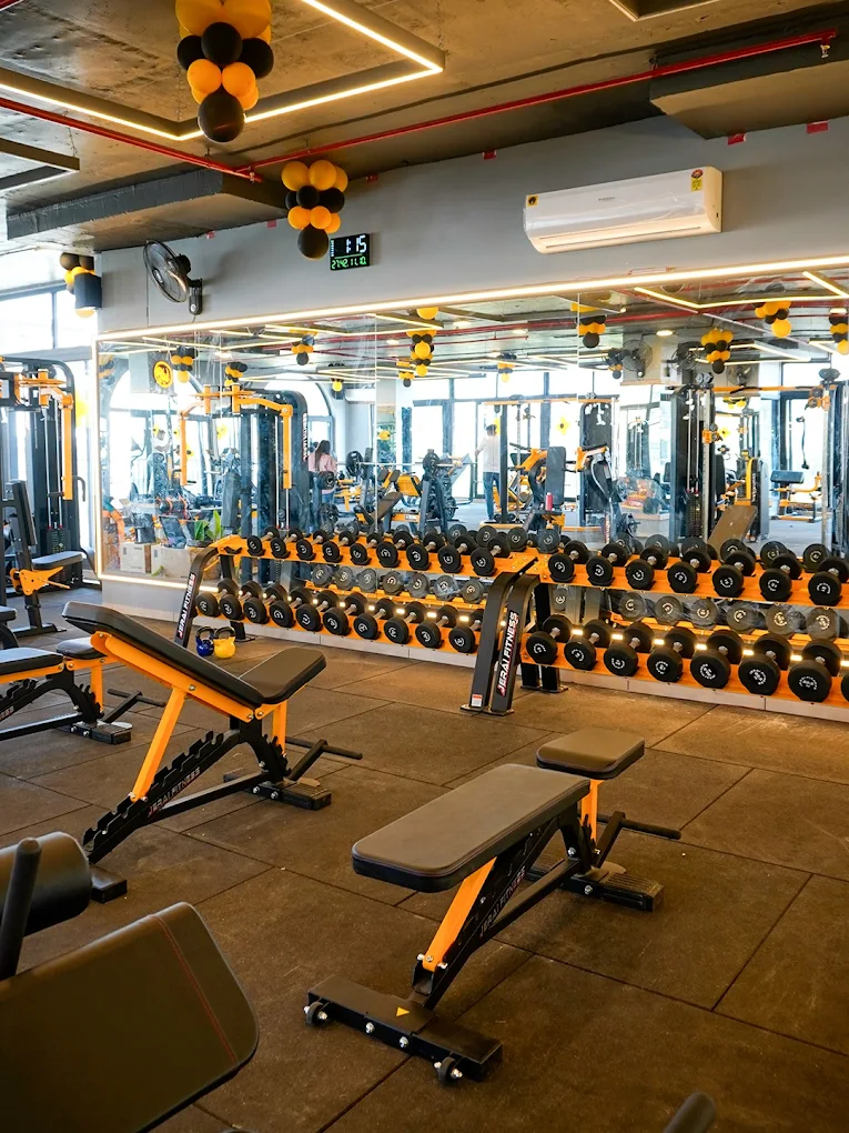 Gym equipment
